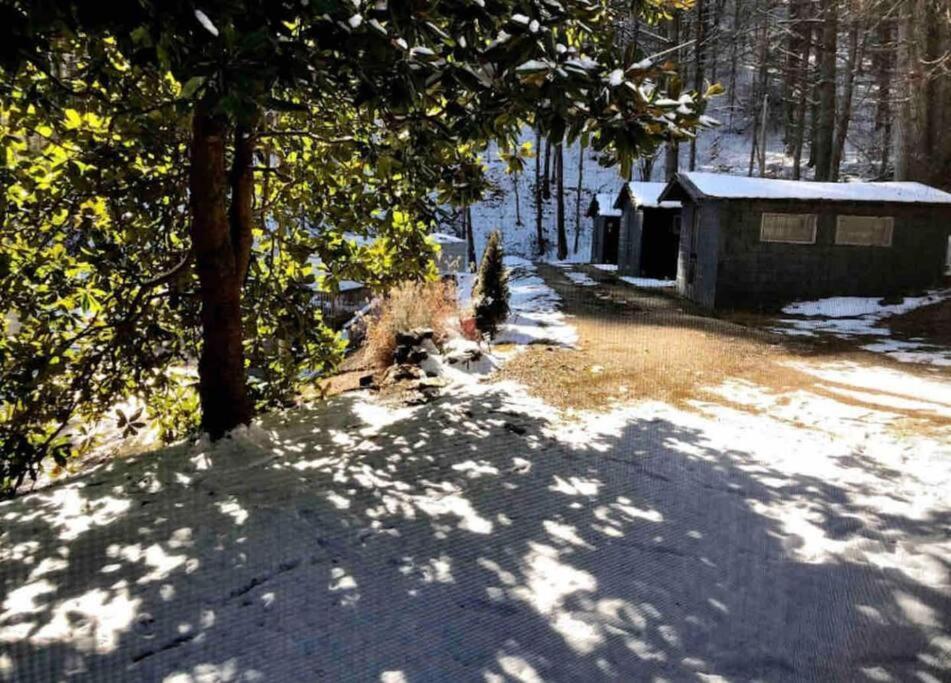 Cabin At The Cove At Watauga Lake Butler Exterior foto